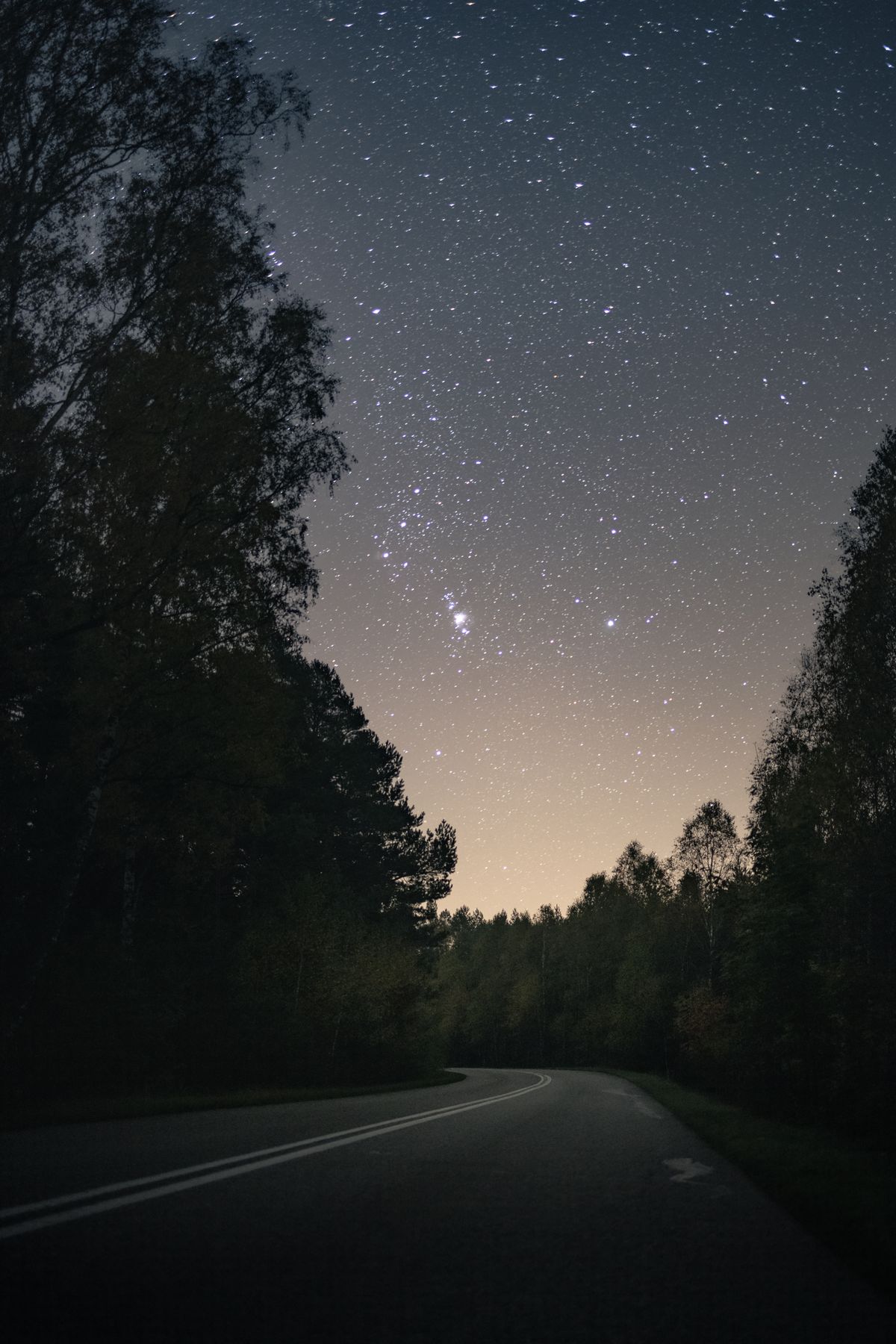 熊猫VPN东京夜景节点